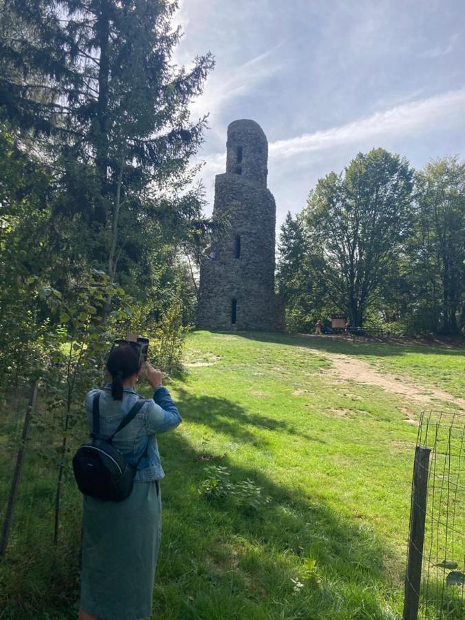 Hostinec U Pejska A Kocicky Mariánské Lázně Exterior foto