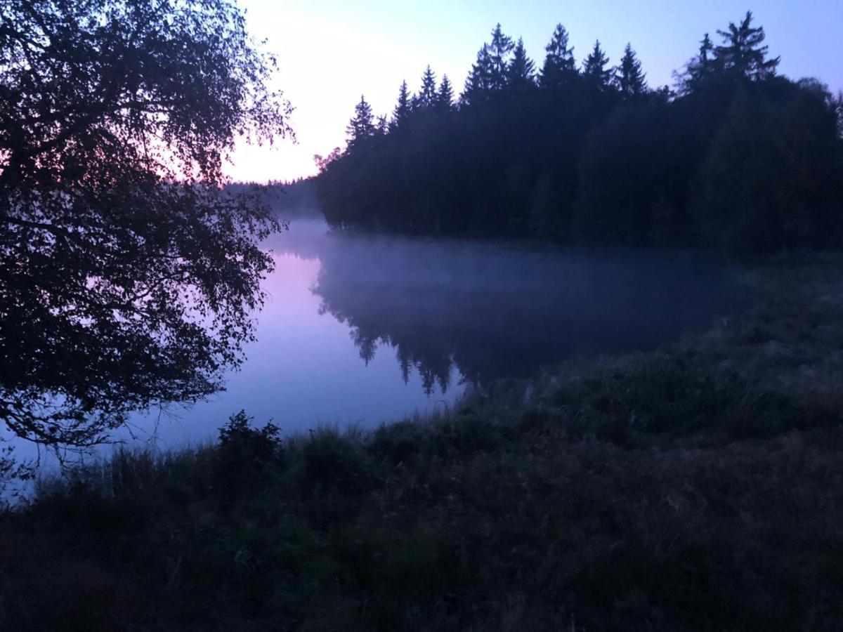 Hostinec U Pejska A Kocicky Mariánské Lázně Exterior foto
